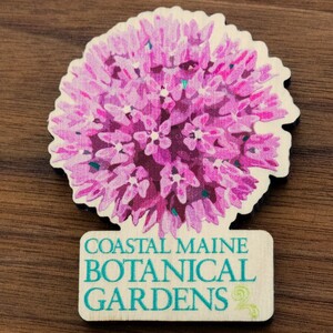 CMBG WOODEN ALLIUM MAGNET